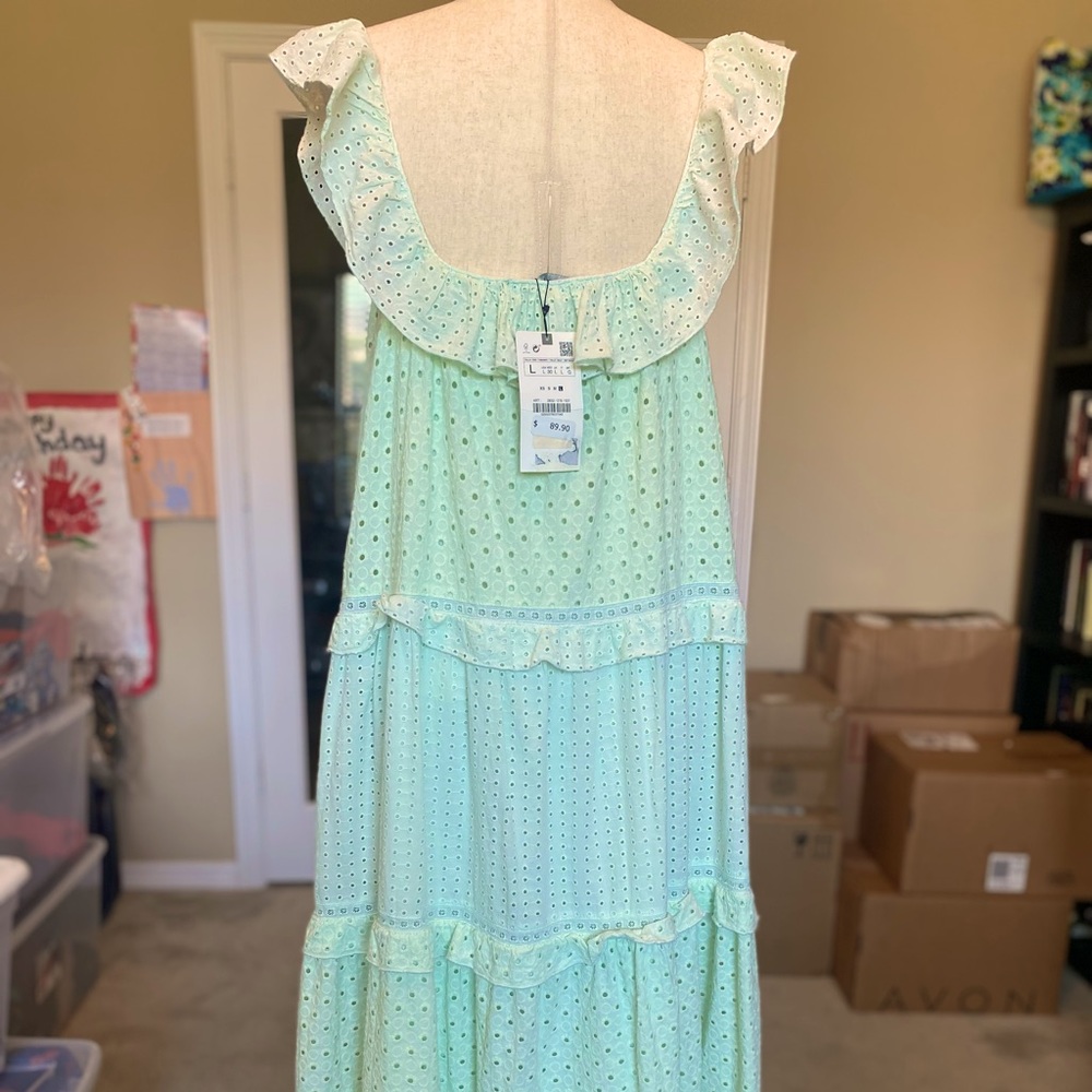 Zara Embroidered Lace Midi Dress NWT L - Picture 10 of 10